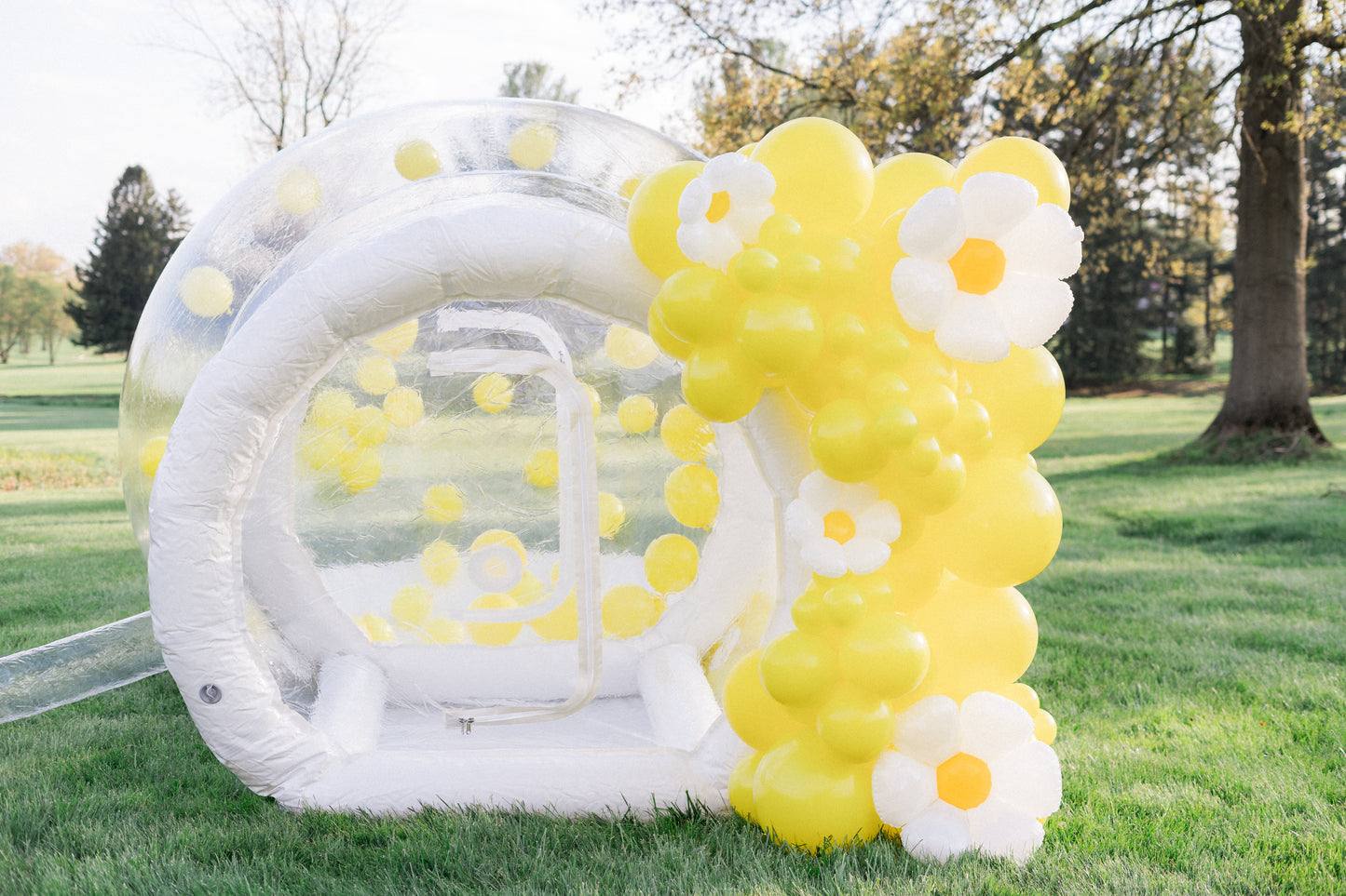 Bubble House Rental