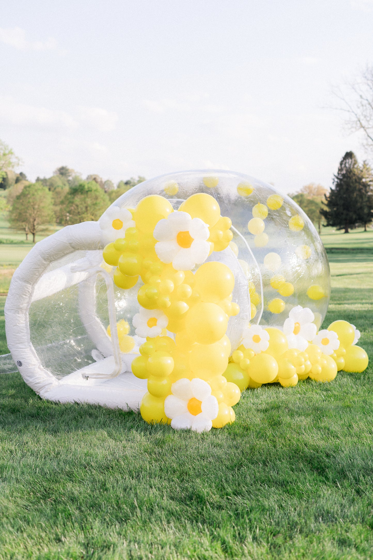 Bubble House Rental