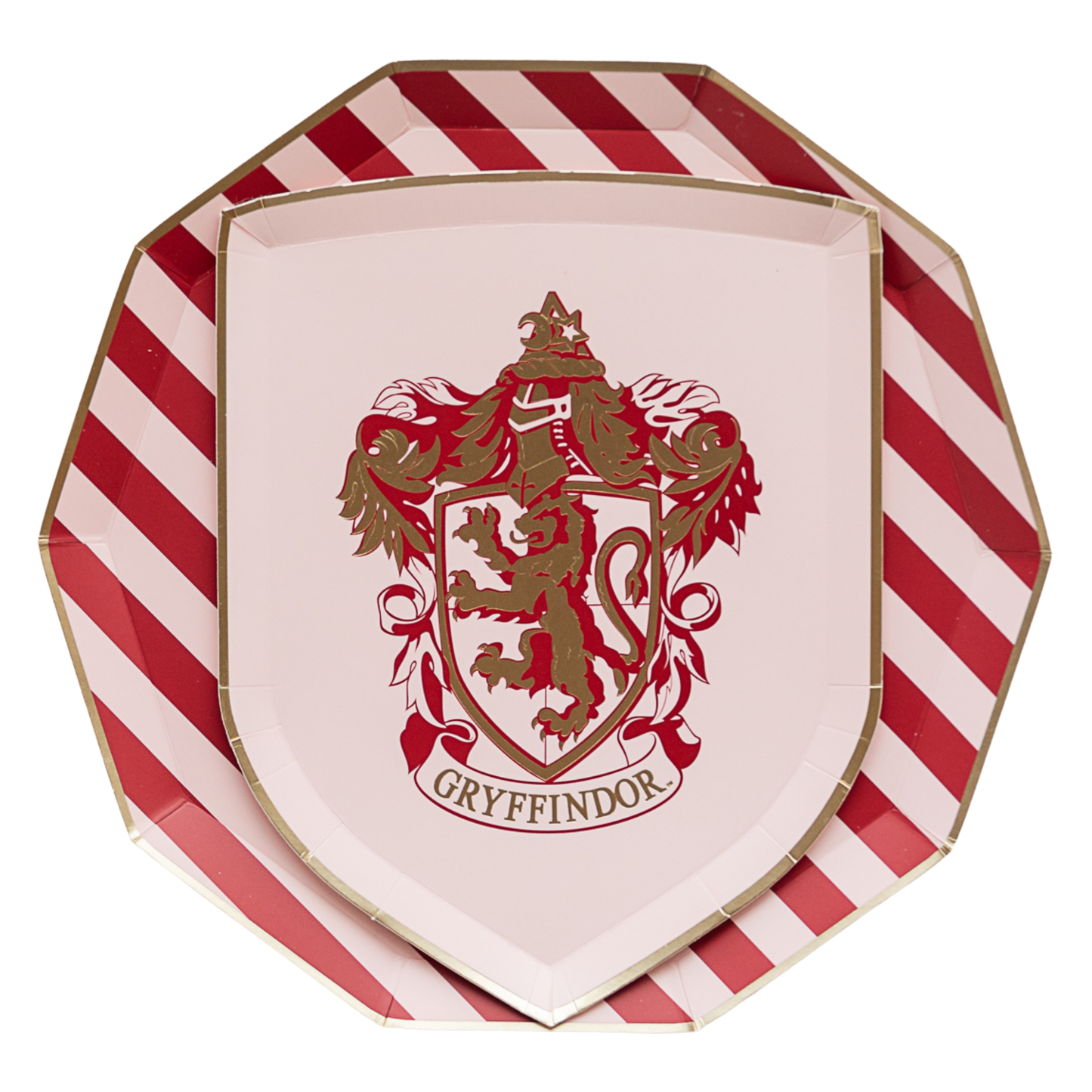 HARRY POTTER X BONJOUR FÊTE HOUSE PRIDE LARGE PLATES