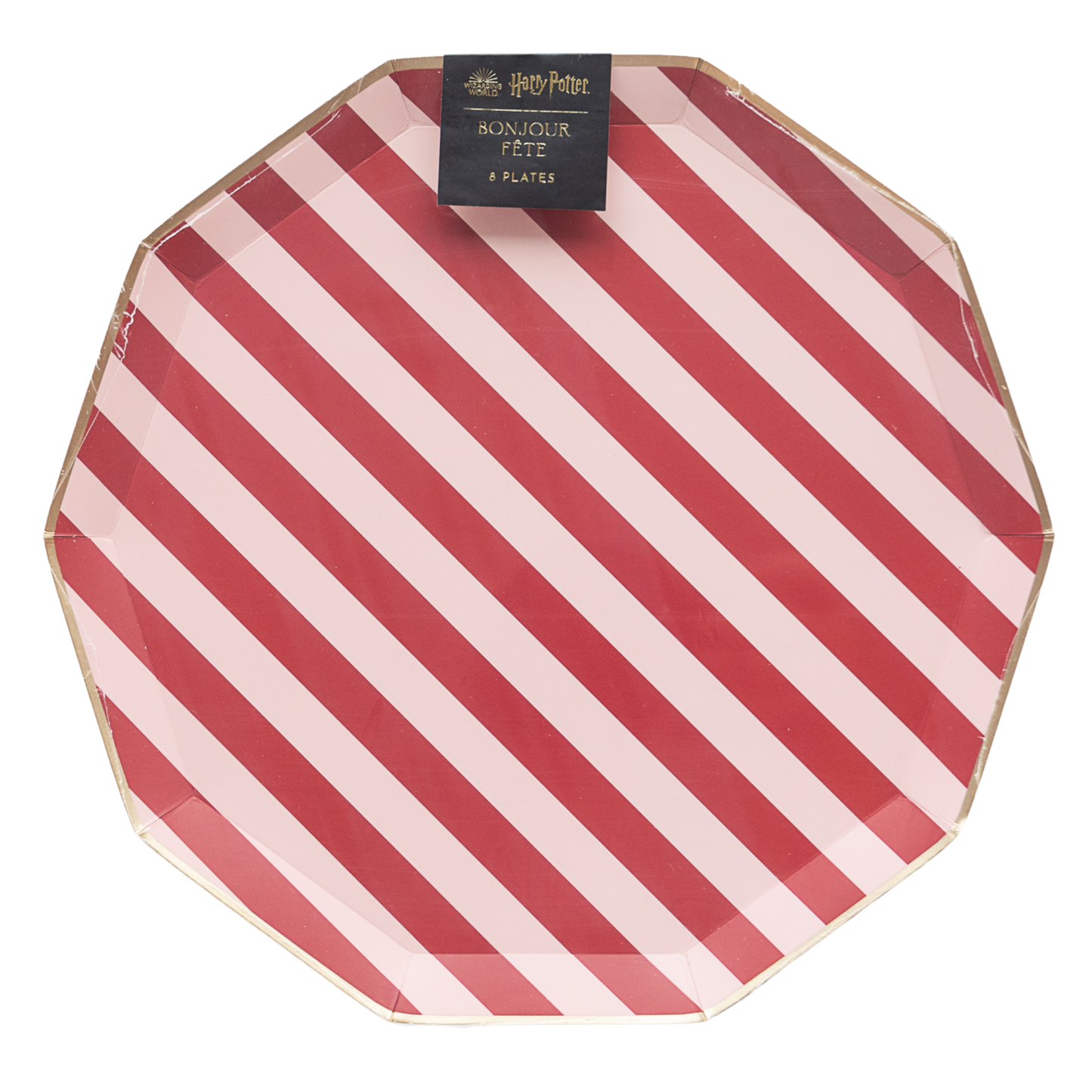 HARRY POTTER X BONJOUR FÊTE HOUSE PRIDE LARGE PLATES