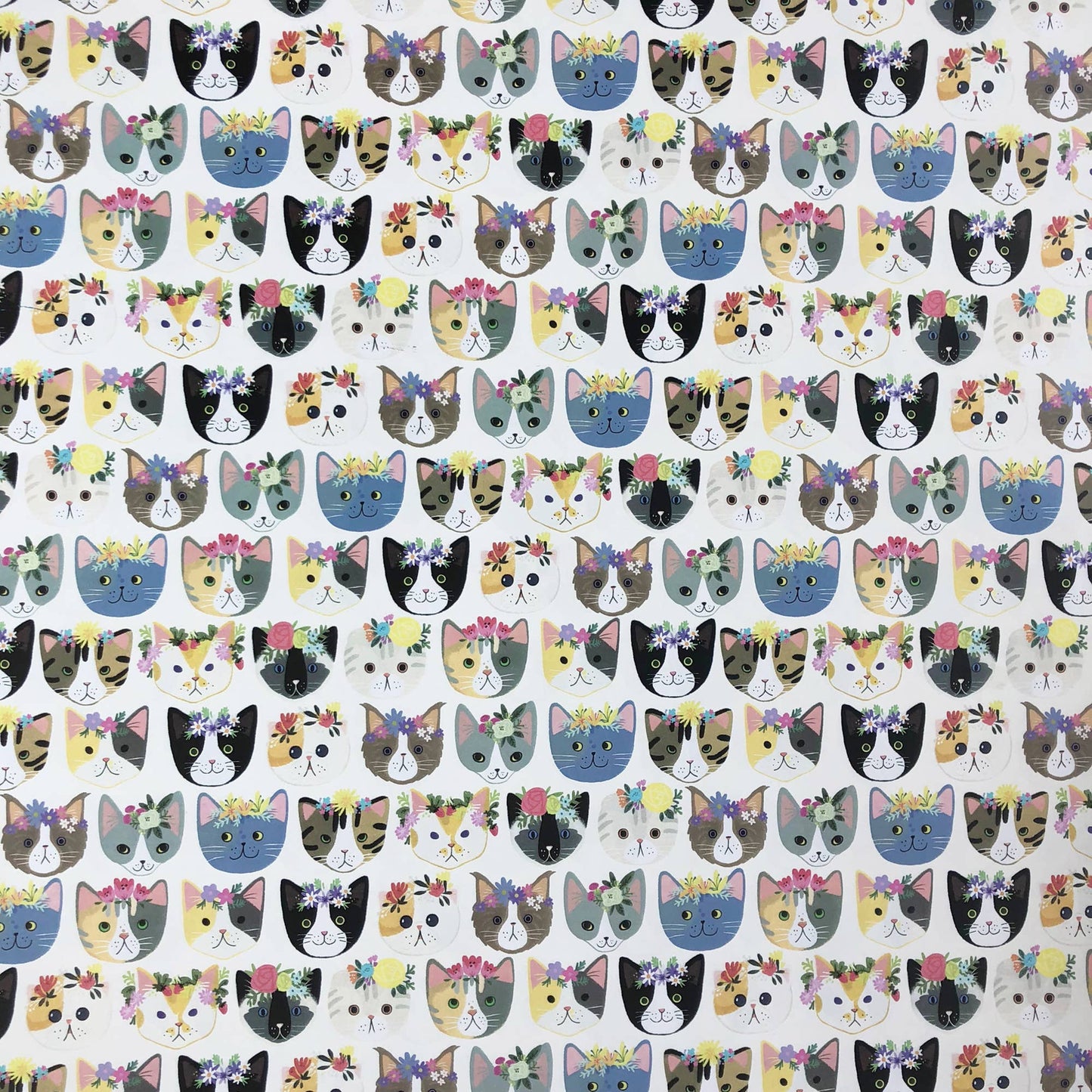 Kitty Cats Gift Wrap - Roll