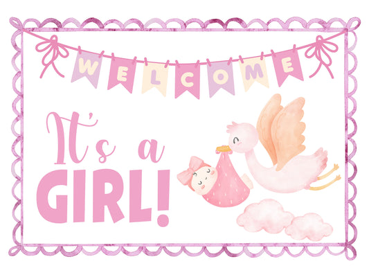 Baby Gir Yard Signs for Outdoors with Metal Stakes: 18" x 24"