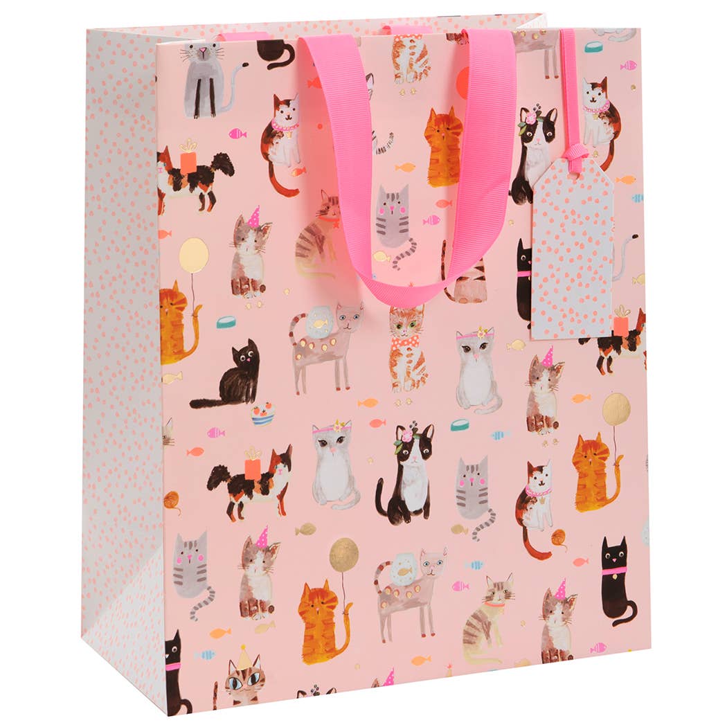 GIFT BAG. CATS WHISKERS