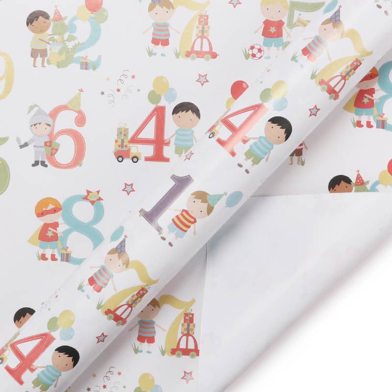 Birthday Boy Numbers & Characters Gift Wrap Sheets