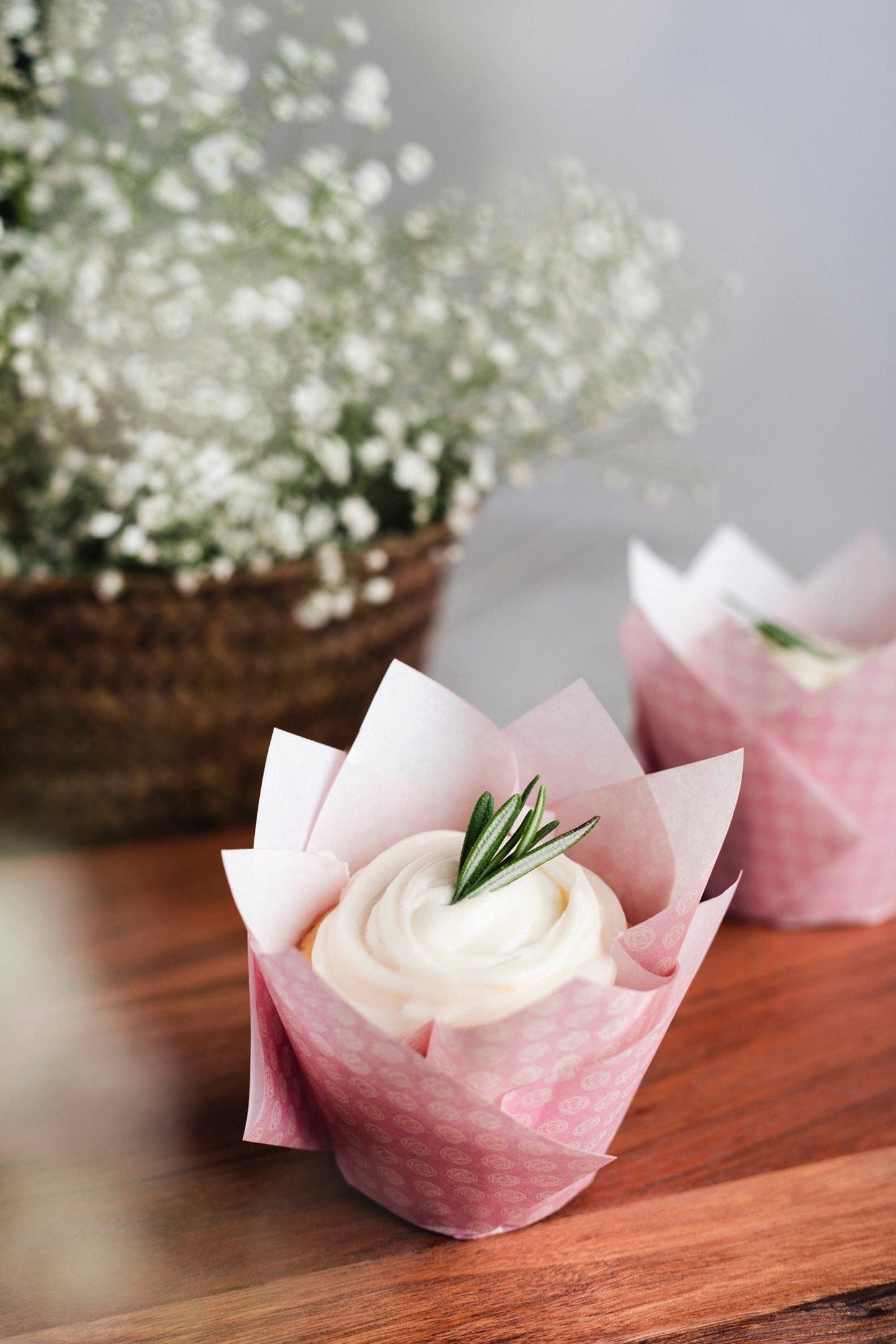 Tulip Cupcake Liners - Bloom, a print of dainty blush florals- 100 liners